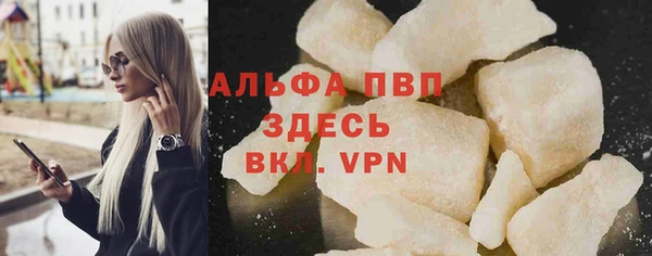 гидра Бородино