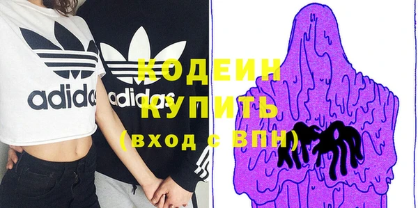 гидра Бородино