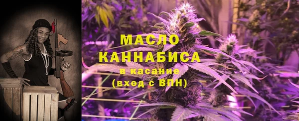 гидра Бородино