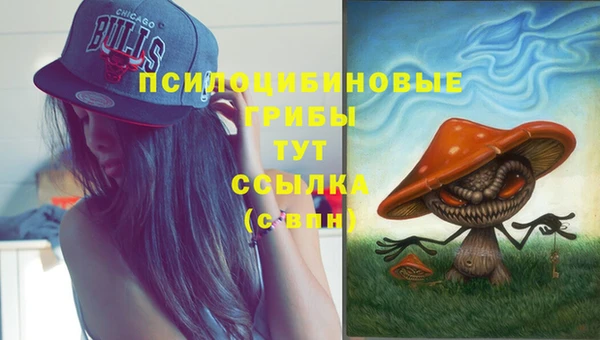 ПСИЛОЦИБИНОВЫЕ ГРИБЫ Бронницы