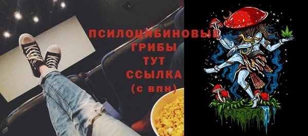 ПСИЛОЦИБИНОВЫЕ ГРИБЫ Бронницы